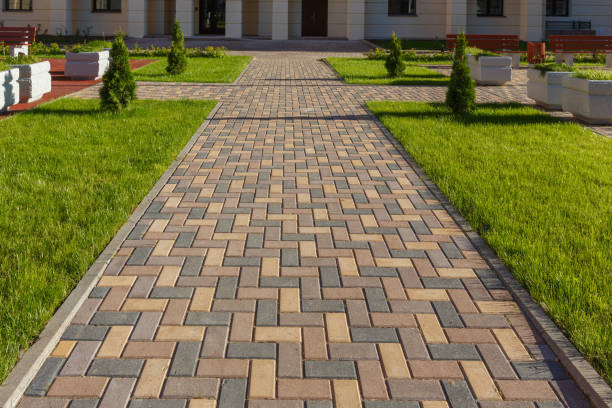 Best Driveway Paving Contractor  in Corydon, IA